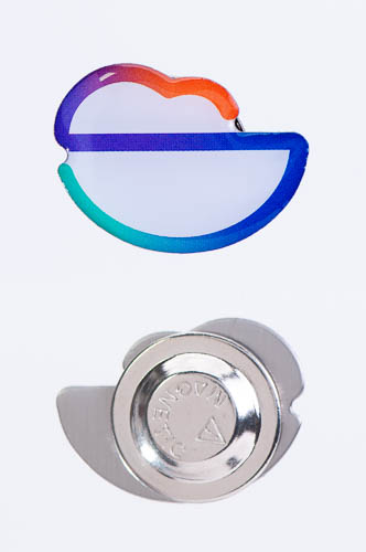Pin w magnet